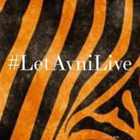 42926911_2229350080472585_1558093940329021440_n